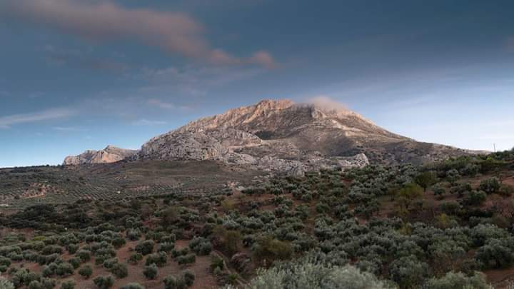 Naturaleza y autenticidad en la Sierra de las Nieves